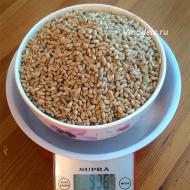 Рецепты приготовления браги на пшенице