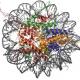 क्रोमैटिन: कोशिका विभाजन में परिभाषा, संरचना और भूमिका क्रोमैटिन की संरचना और रासायनिक संरचना