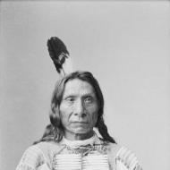 O Indijancih Lakota (Sioux) in ne samo o njih